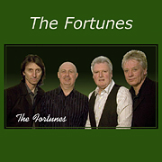 The Fortunes website